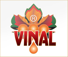 ВИНАЛ АД logo
