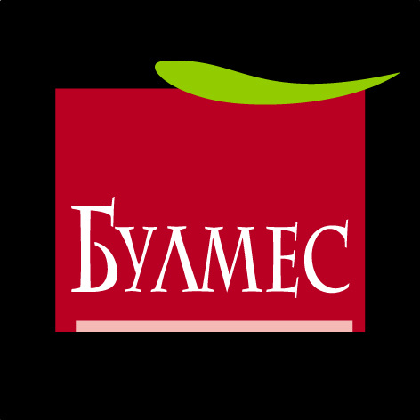 БУЛМЕС ГРУП ЕООД logo