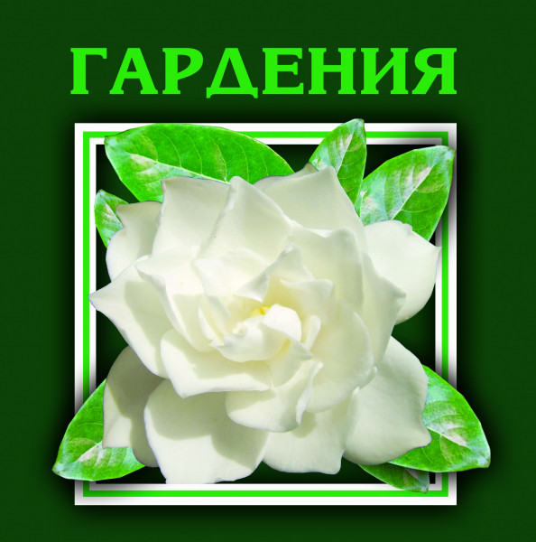 Бележкова and Sons-2005 logo