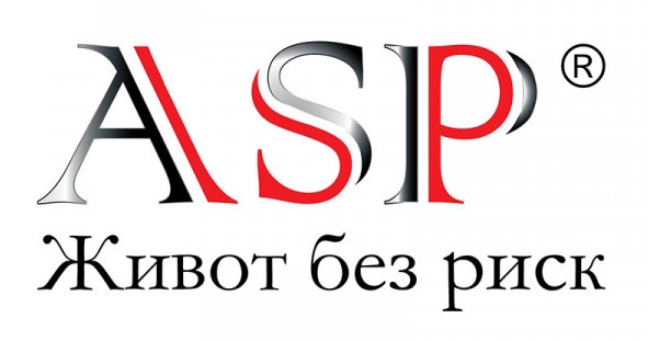 ASP Ltd. logo