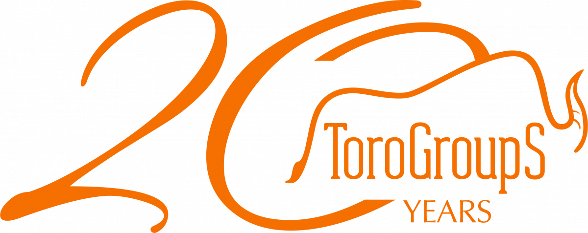 Toro GroupS OOD logo