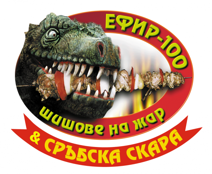 ЕФИР 100 ООД logo