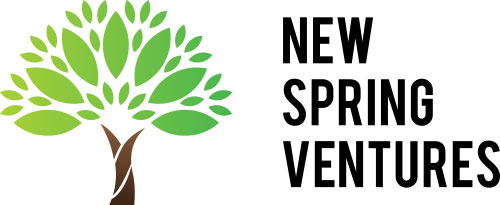 NEW SPRING VENTURES Ltd. logo