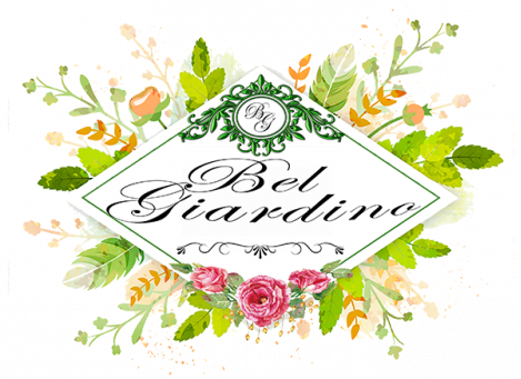 BEL GARDINO LTD logo