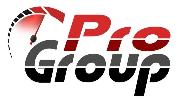 PRO GROUP DE LTD logo