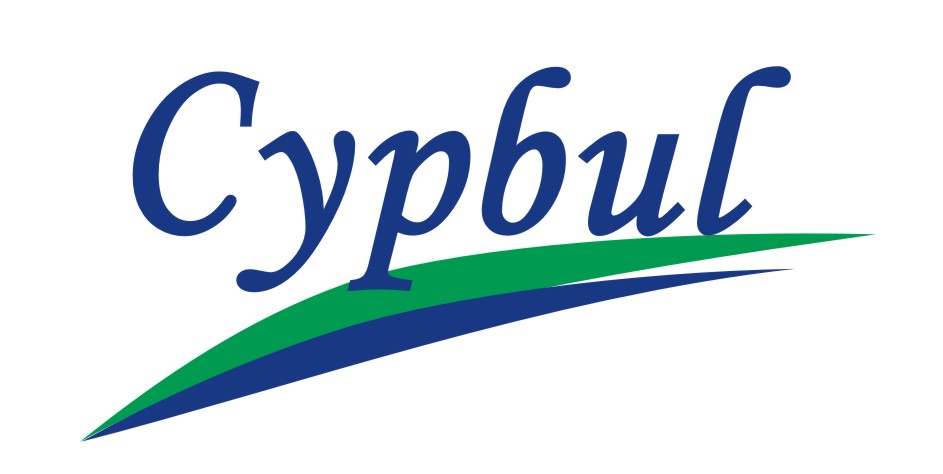 САЙПБУЛ КОНСЮЛТАНСИ ЕООД logo